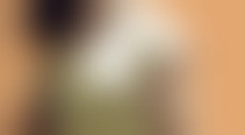 Сорок первый