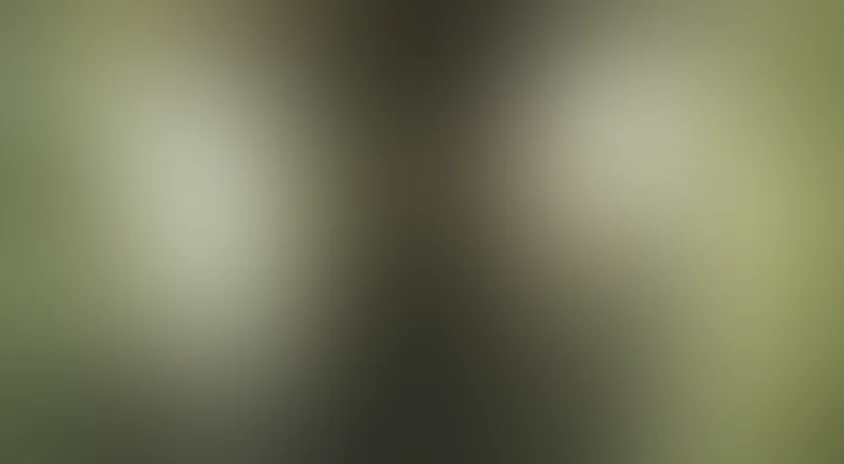 Человеческая многоножка