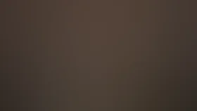 Д’Артаньян и три мушкетера (2005)