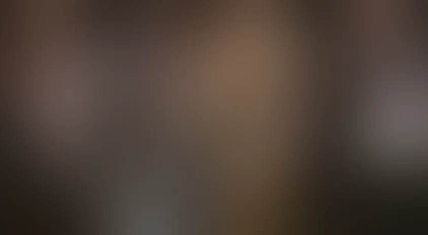 Д’Артаньян и три мушкетера (2005)