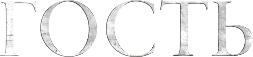 Гость (Сериал, 2020)