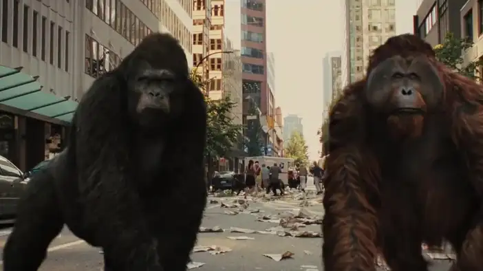 Фрагмент (английский язык)