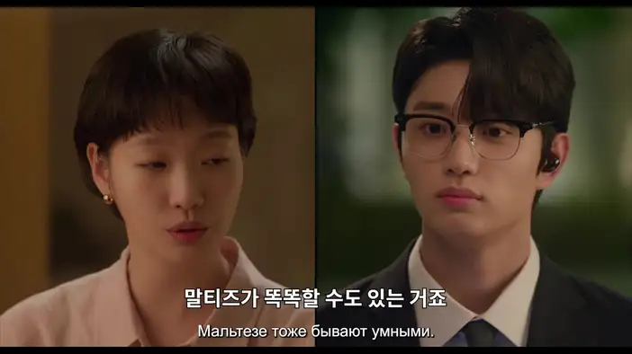 Трейлер (сезон 3, корейский язык, русские субтитры)