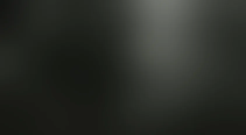 Новые похождения Швейка