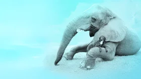 Лучшие друзья собак