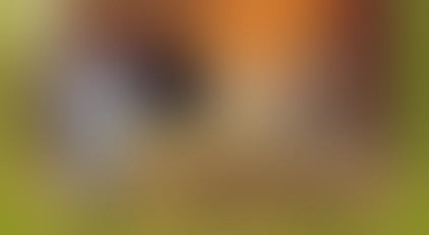 Крылатый, мохнатый да масленый