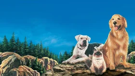 Дорога домой: Невероятное путешествие