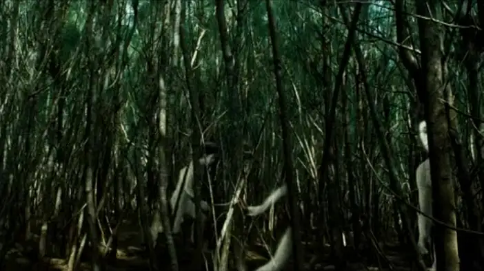 Трейлер (русский язык)