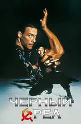 Чёрный орёл