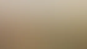 Дикая Южная Африка: Сафари