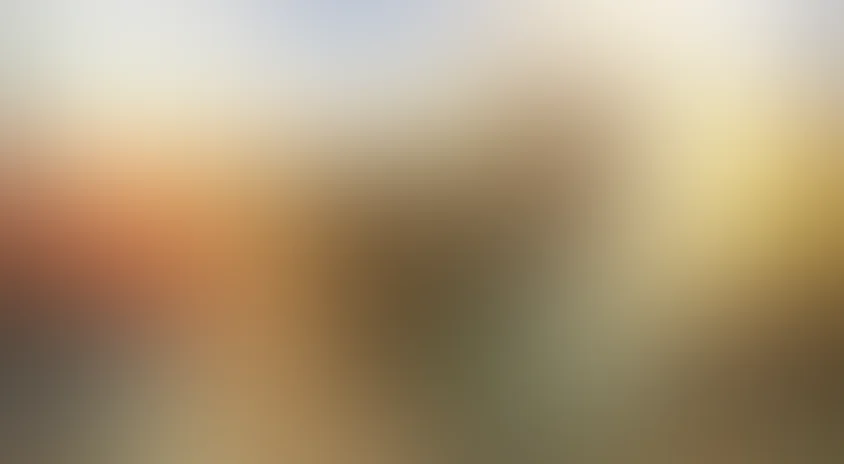 Дикая Южная Африка: Сафари