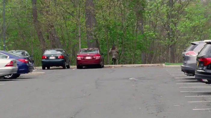 Трейлер (английский язык)