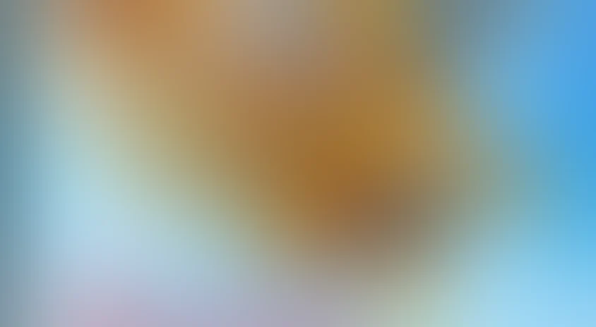 Домовята: Навстречу приключениям