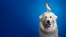 По кличке "Чудак"