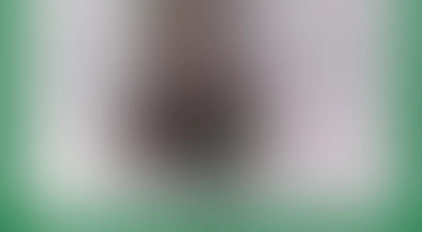 Дом, который построил Джек