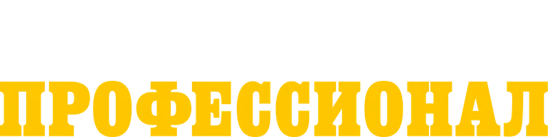 Профессионал