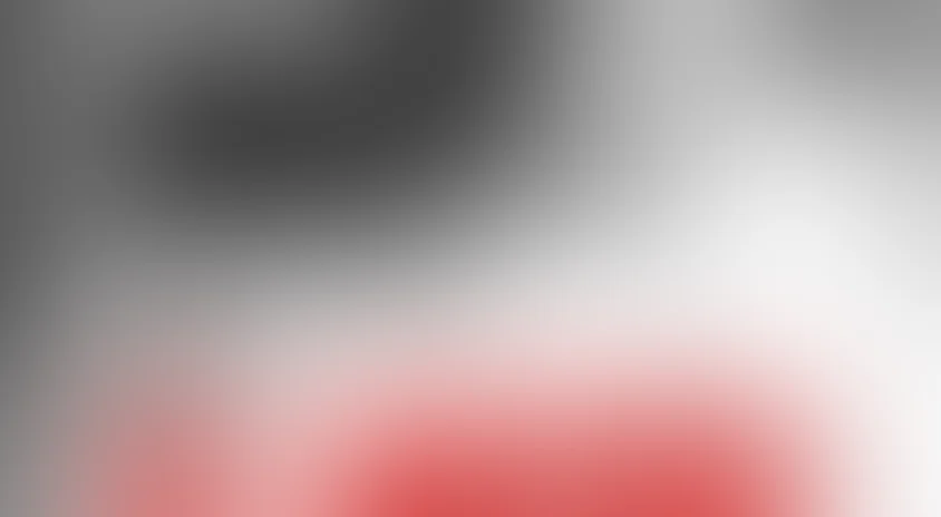 В лесах под Ковелем