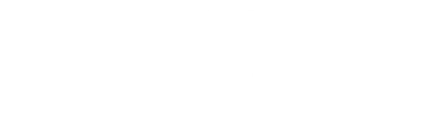Чёрный дрозд