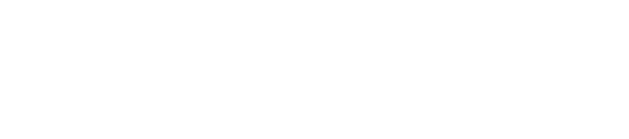 История его служанки