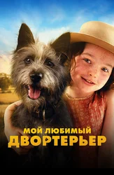 Мой любимый двортерьер