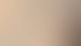 Коллекционер