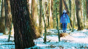 Зло не существует