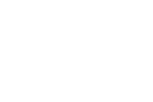 Non Stop Dub (шоу 2026)
