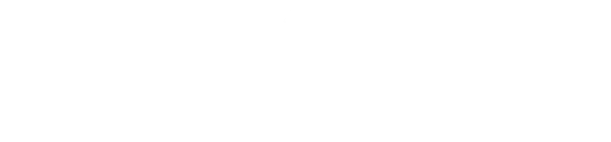 Птицы