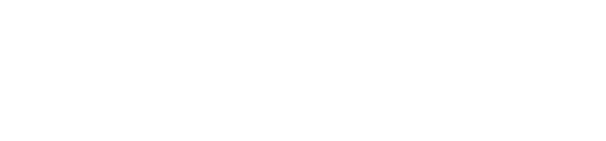 Птицы (Фильм, 1963)