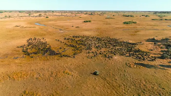 Трейлер (русский язык)