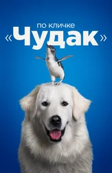 По кличке "Чудак"