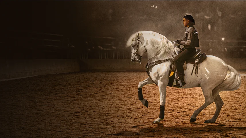 Центурион: Танцующий жеребец