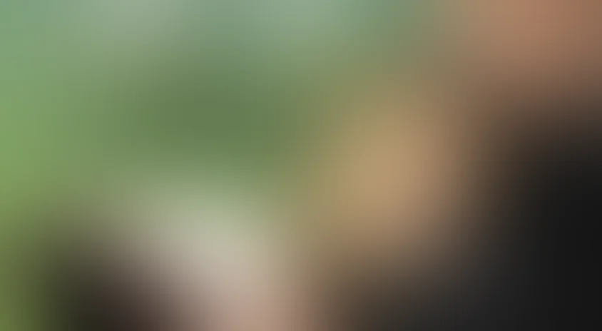 Любовь зла...