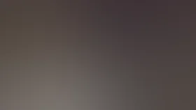 Частный детектив, или Операция «Кооперация»