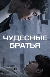 Чудесные братья