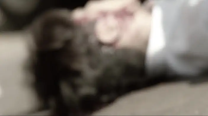 Фрагмент (русский язык)