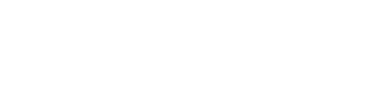 Мишель Вальян: Жажда скорости