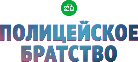 Полицейское братство (сериал 2022)