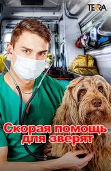 Скорая помощь для зверят