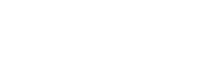Смертный приговор по ошибке. Дневники Лоры Палны