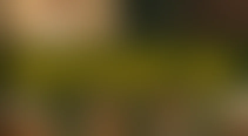 Яблочный спас