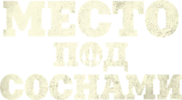 Место под соснами (фильм 2012)