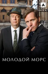 Молодой Морс