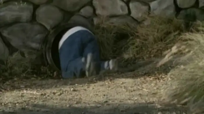 Трейлер (дублированный)