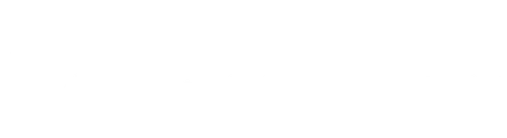 Настройщик (START)