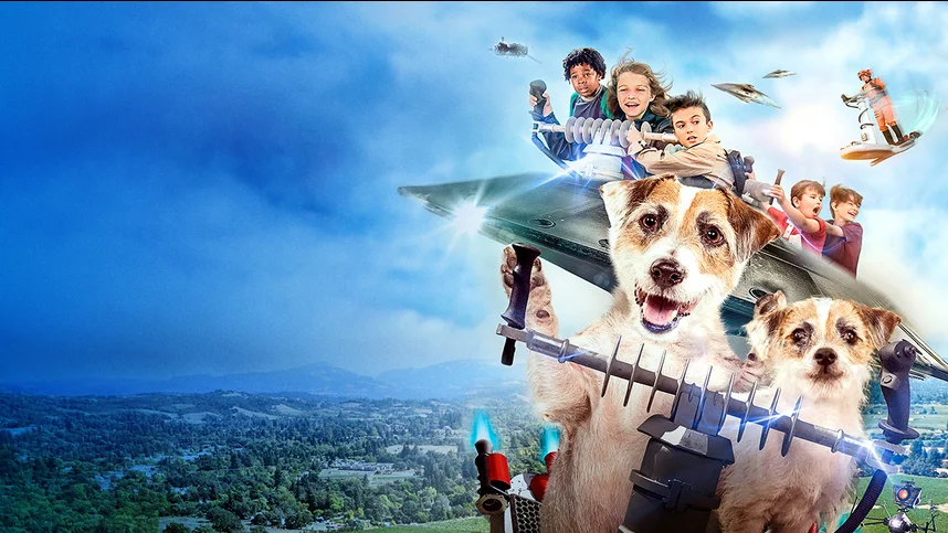 Пушистый переполох