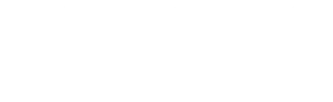 Погоня