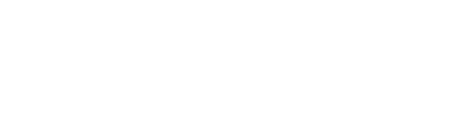 Погоня (Фильм, 2011)