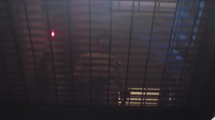 Трейлер (корейский)