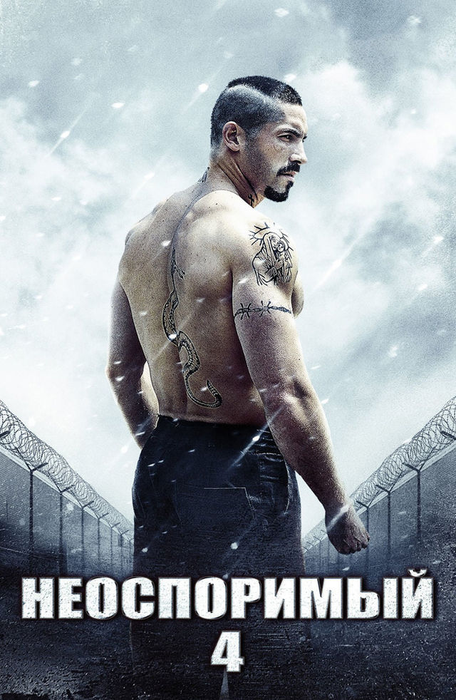 Майлы маймылдар